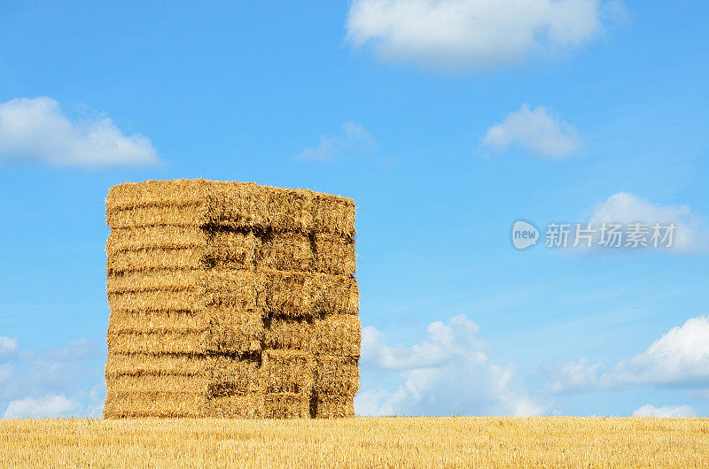 小麦收割后秸秆堆堆的草堆