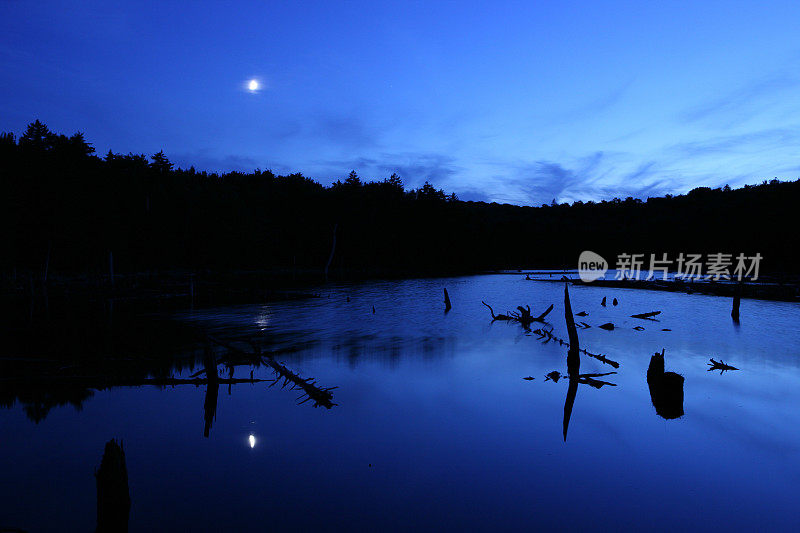 海狸池塘的月光