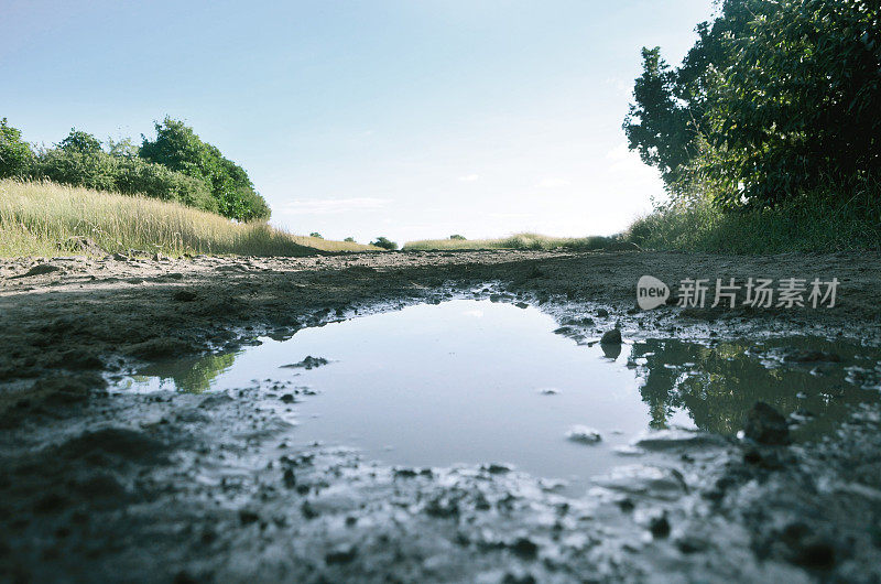 泥泞的水坑和土路景观