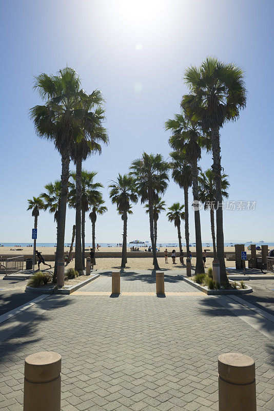 阳光和棕榈树在亨廷顿海滩，加利福尼亚
