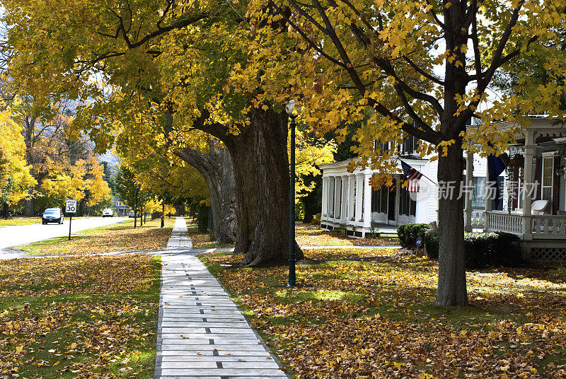 秋天的树叶和绿树成荫的人行道在曼彻斯特村佛蒙特州