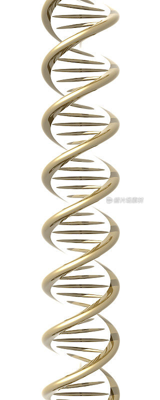 程式化DNA双螺旋