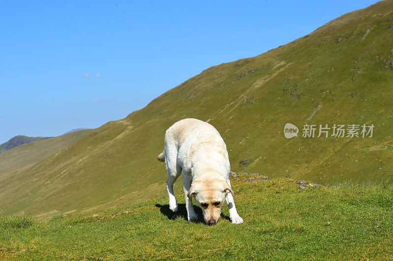 英国湖区