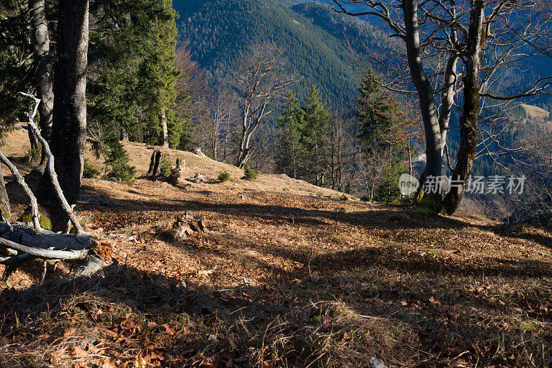 从Risserkogl看到的巴伐利亚欧洲阿尔卑斯山全景