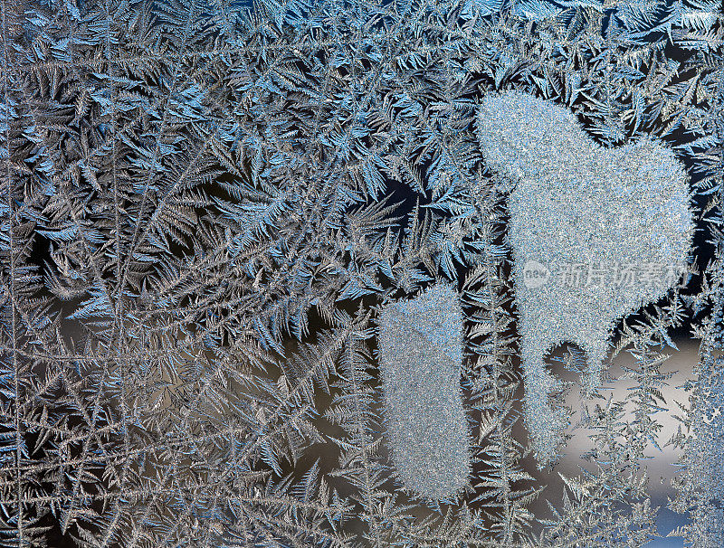 蕨状冰晶分形核形成霜花