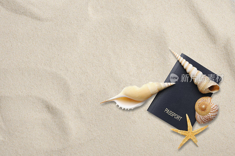 沙滩上的空白护照，带贝壳，有复印空间