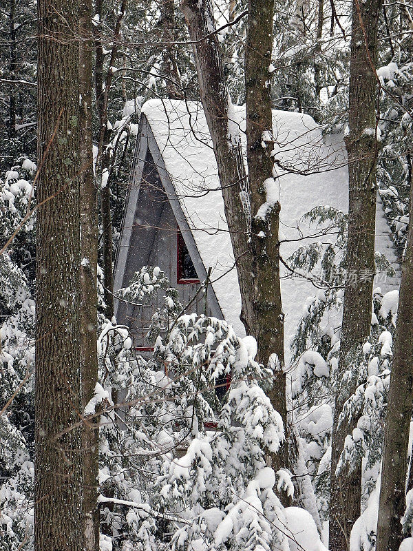 隐藏的冬天小屋在白雪覆盖的森林