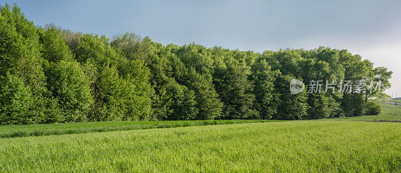 乡村春田全景