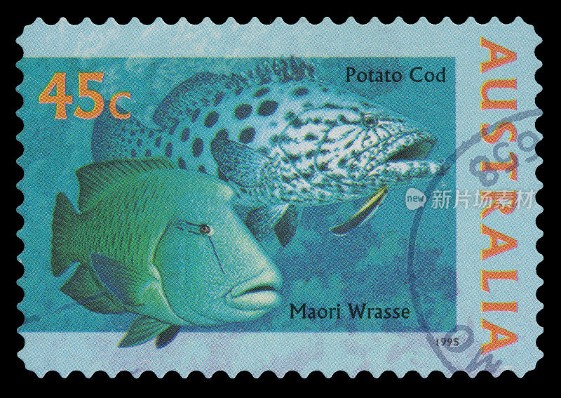 澳大利亚的鳕鱼,濑鱼邮票