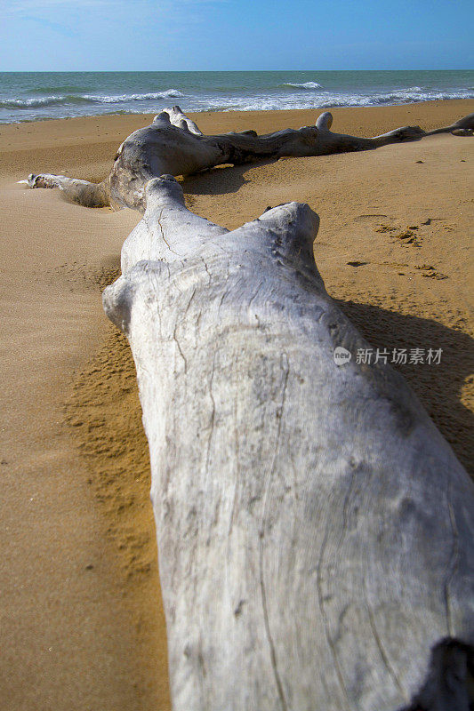 长长浮木，金色海滩，天空，地中海海景