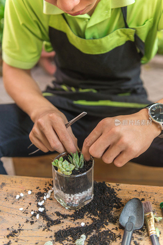 年轻的园丁在玻璃中制作肉质植物