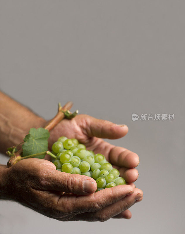 手里握着一颗葡萄