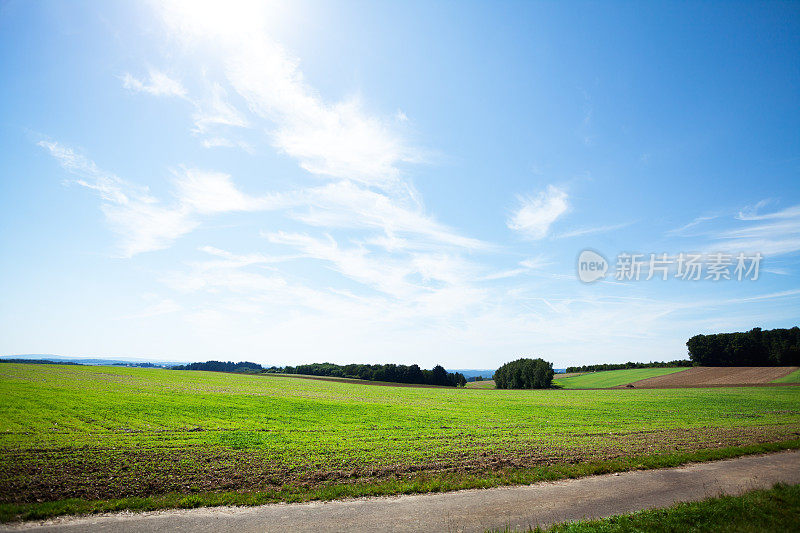 夏末的田野Hunsrück