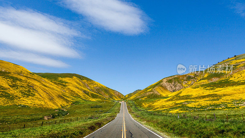 卡里佐平原附近，卡丽萨高速公路穿过花覆盖的Temblor山。