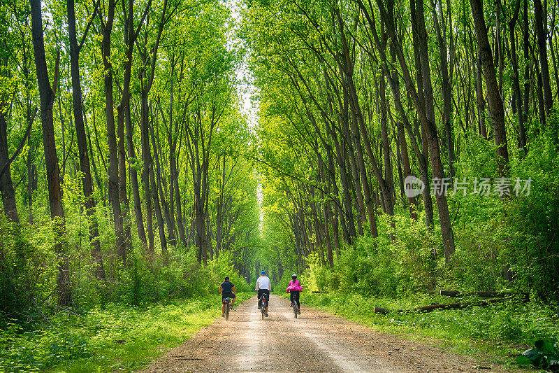 一家人骑着自行车穿过森林