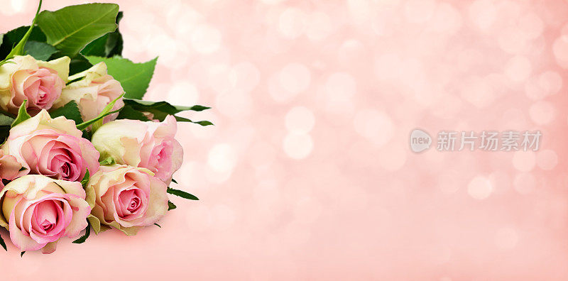 鲜嫩的粉红玫瑰花束