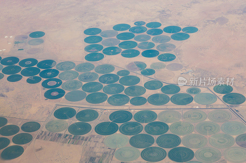 苏丹农业