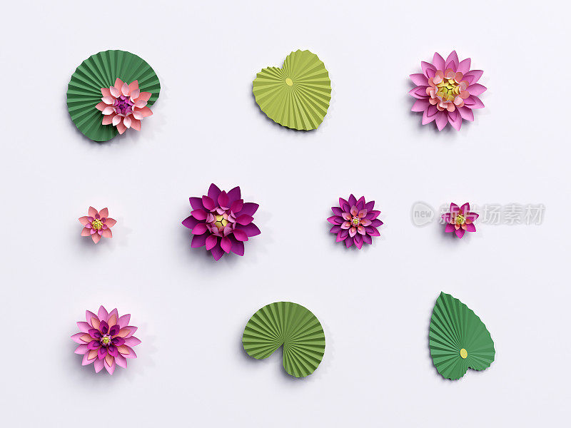 3d渲染，纸荷花，绿叶，粉色睡莲，设计元素孤立在白色的背景