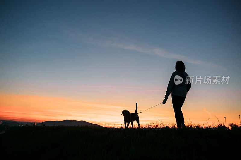 日落剪影的女人和狗在散步