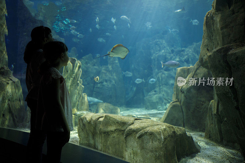 孩子们在一个大水族馆里看鱼