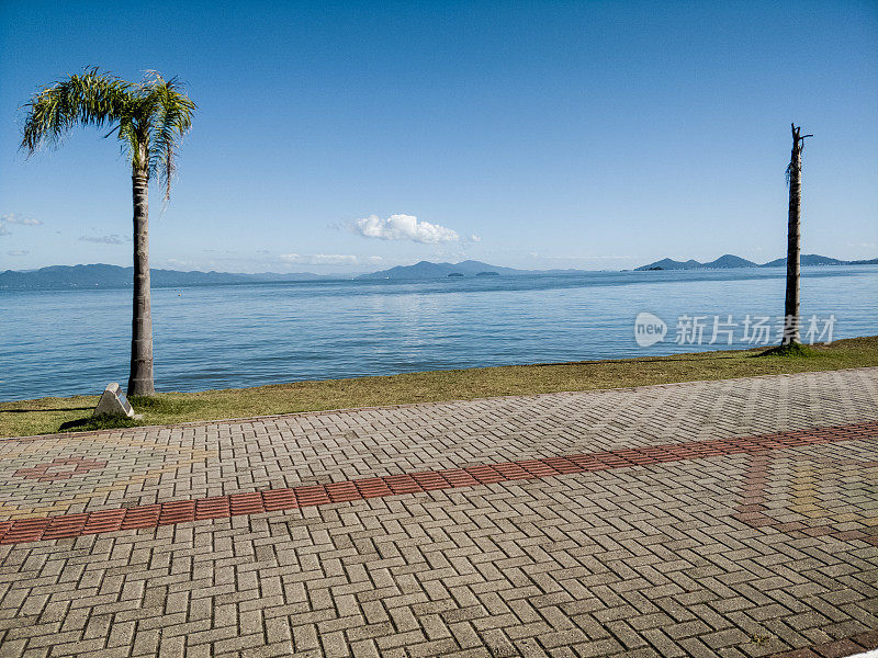 边境上有椰子树和FLorianópolis的木板路，可以看到大海