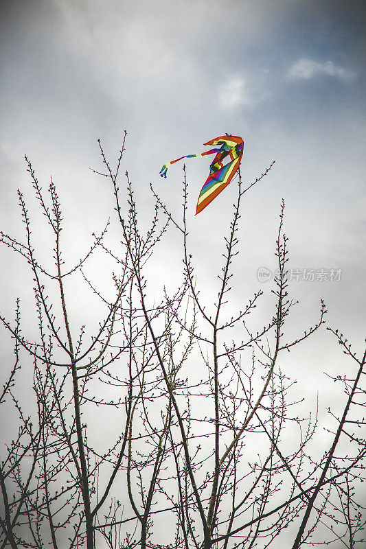 春天被困在树上的风筝
