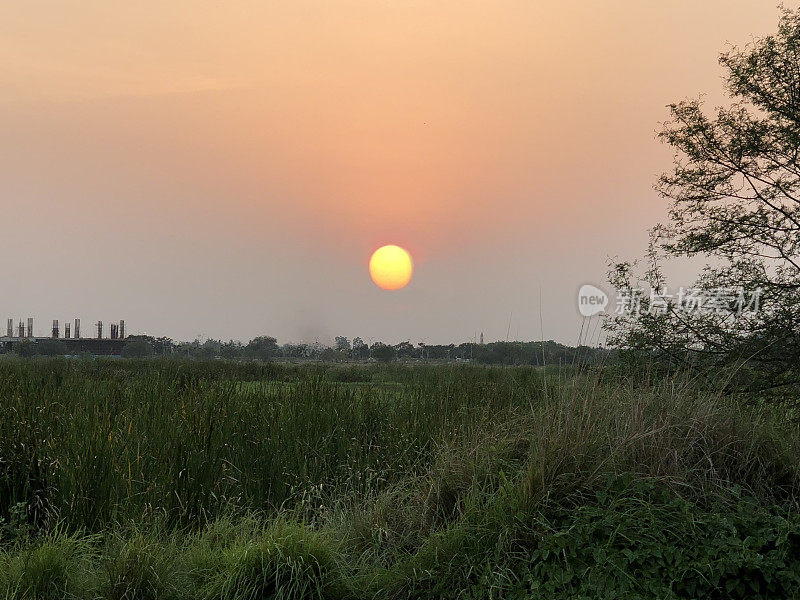 加尔各答的拉贾哈特湿地日落