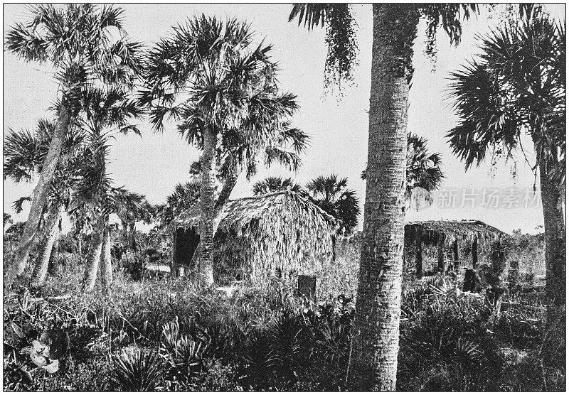 美国著名风景的古董照片:棕榈小屋，泰特斯维尔，佛罗里达