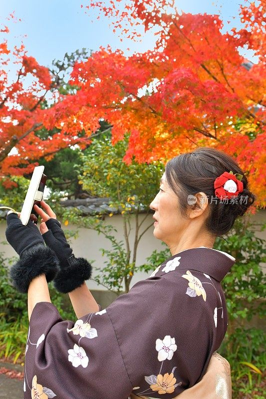 穿着和服的日本妇女在京都拍摄秋叶