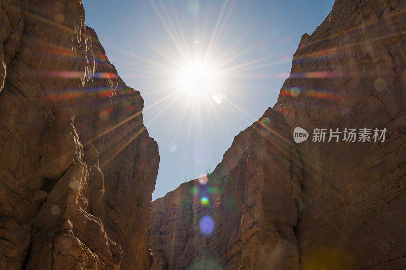 在科切拉山谷棕榈泉附近徒步旅行