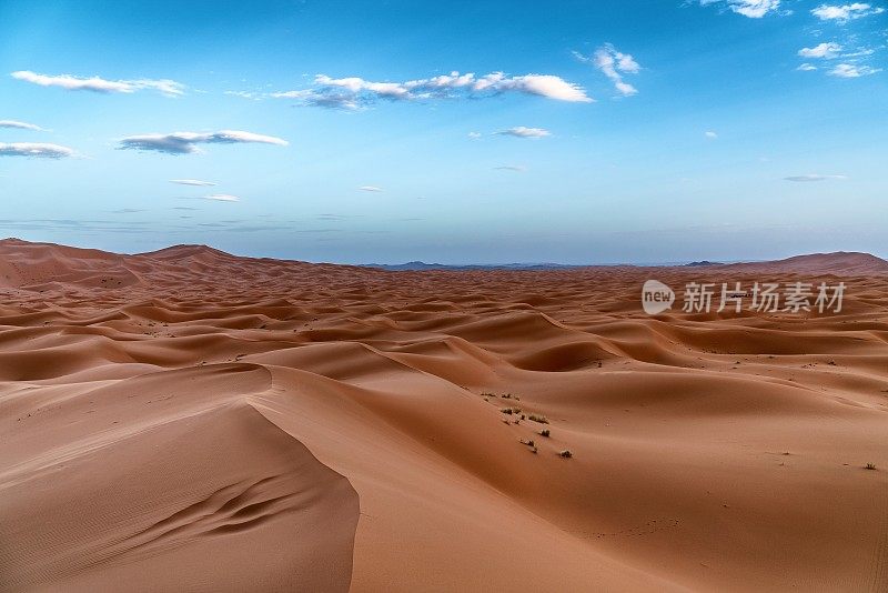 撒哈拉沙漠沙丘