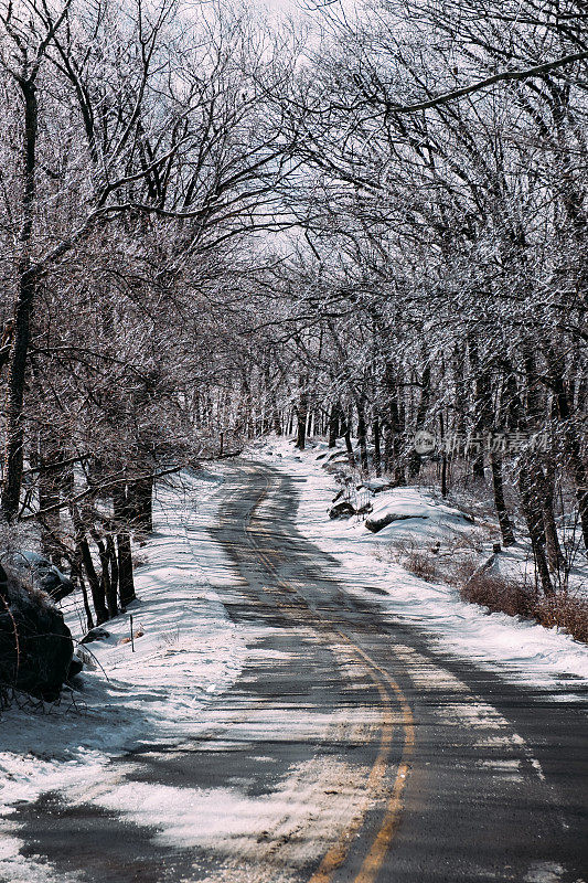 纽约州哈里曼州立公园的雪地道路