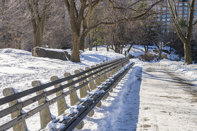 在美国纽约市曼哈顿市中心的冬天，一排长凳在白雪覆盖的中央公园里。