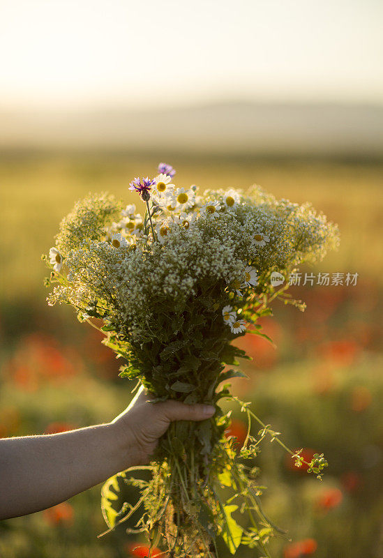 手捧着泥土中的小白花