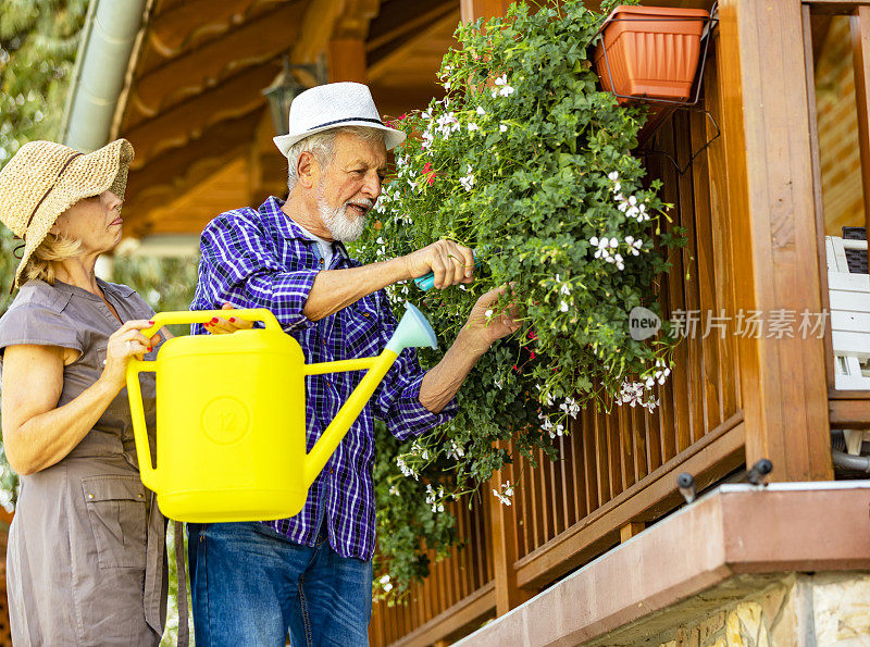 一对夫妇在花园里照看花