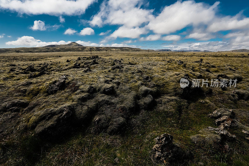 冰岛的北极苔原