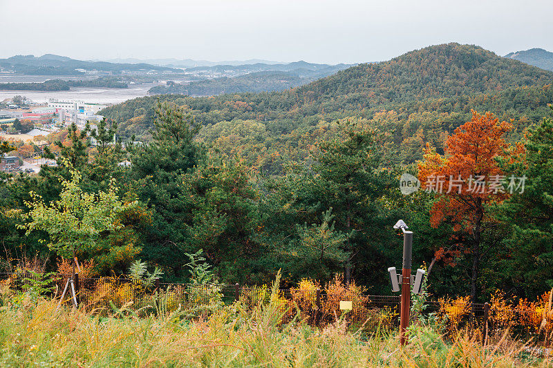 韩国安山大部八田香基植物园的秋日自然风光