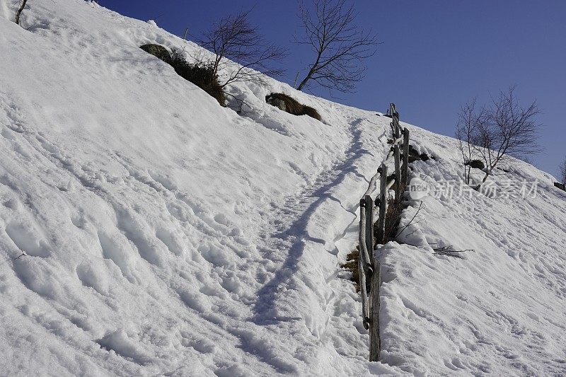 雪地上的小路