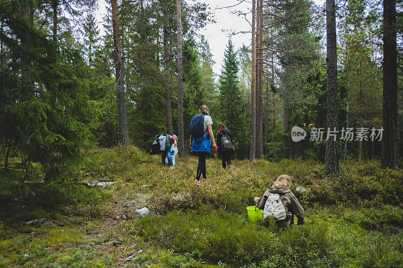 一群朋友在森林里采摘可食用的蘑菇