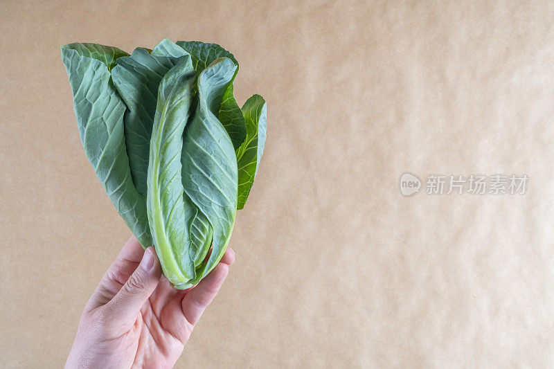 天然新鲜蔬菜。