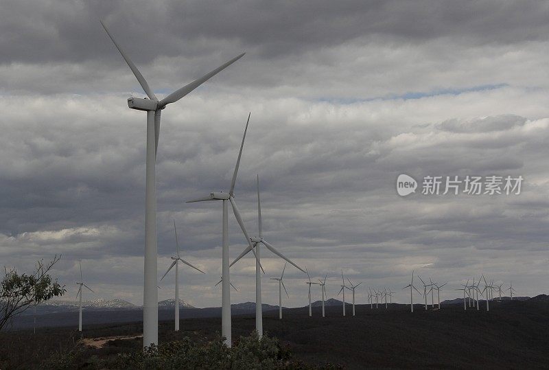 风力发电场安装在巴西