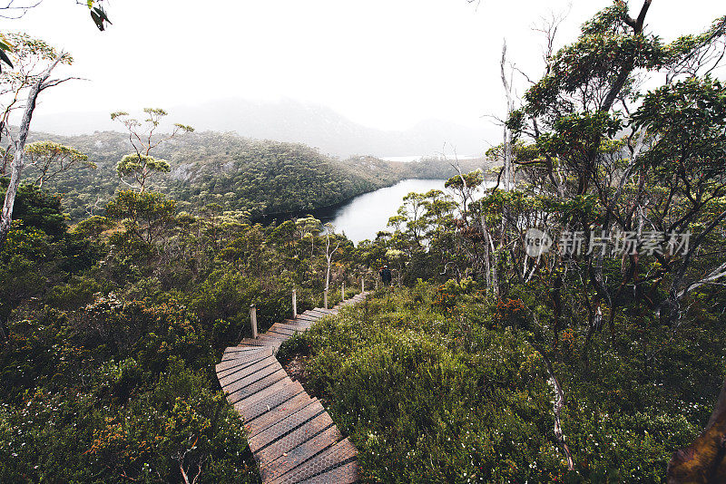 澳大利亚塔斯马尼亚的摇篮山徒步旅行路线