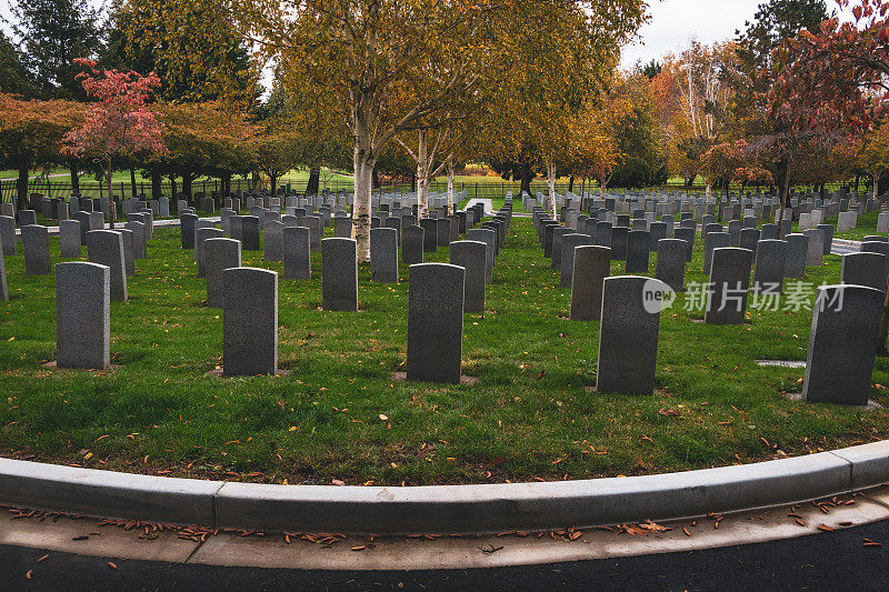 退伍军人纪念墓地