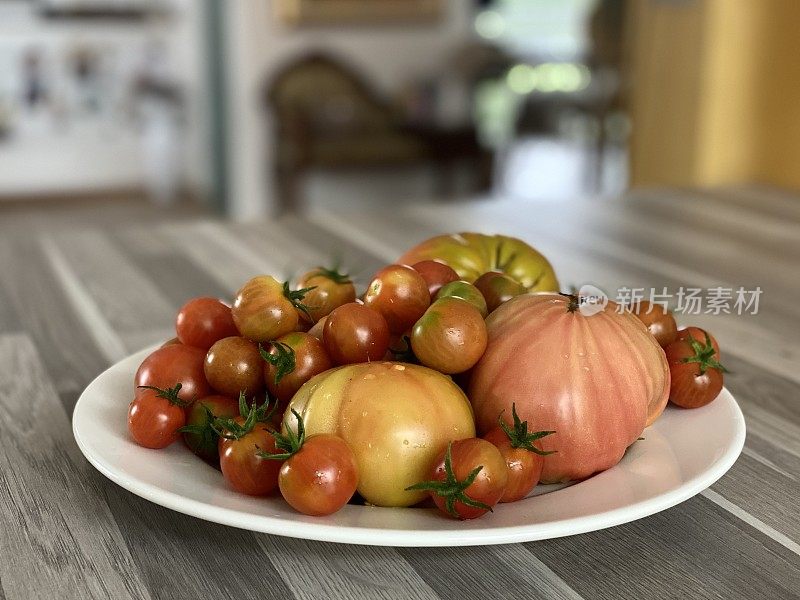 西红柿和自家花园里的樱桃西红柿
