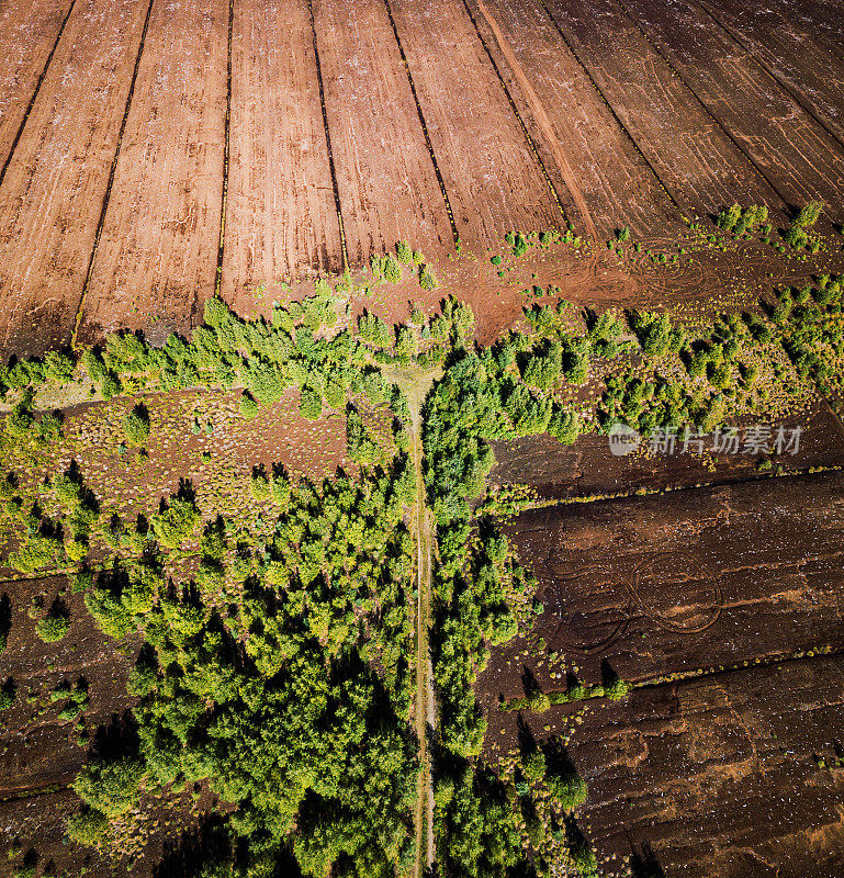 泥煤苔农场