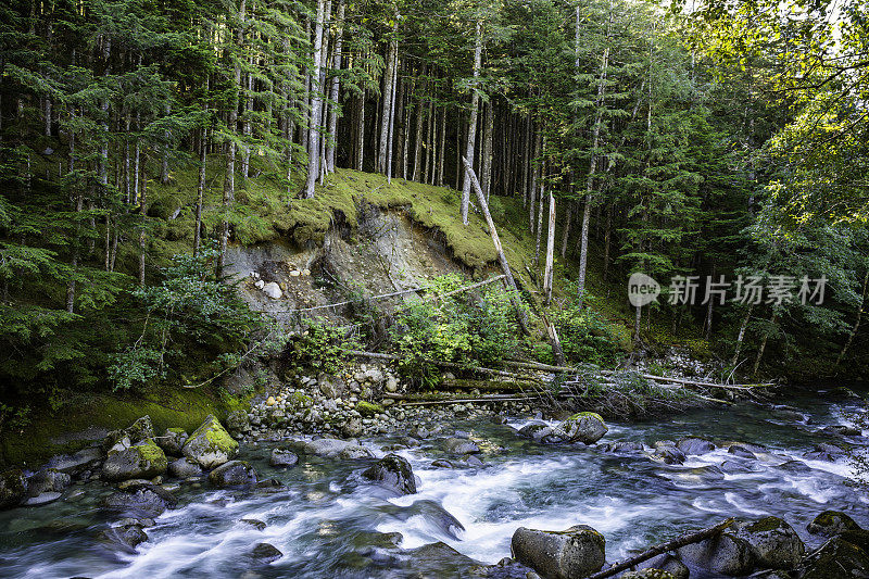 克莱顿瀑布溪，我是贝拉·库拉