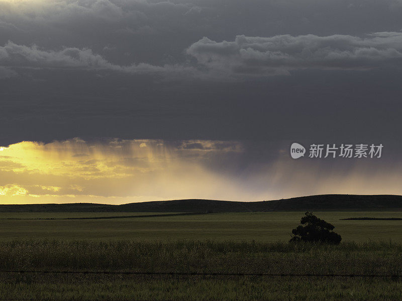 麦田上的暴雨