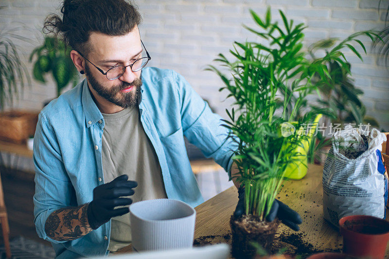 给家里的植物浇水