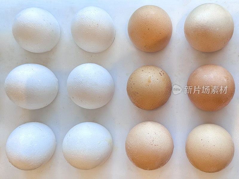 全画幅图片，12个混合颜色的鸡蛋在白色塑料酒窝托盘，一排排的6个白色和6个棕色的壳，高架视图
