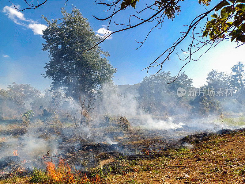 田野附近森林着火的照片，烟雾和小火焰从地面升起，天空湛蓝。